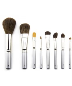 Titanium Travel Brush Set
